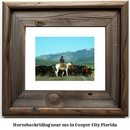 horseback riding near me in Cooper City, Florida